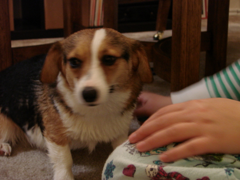 Conney's first bath!