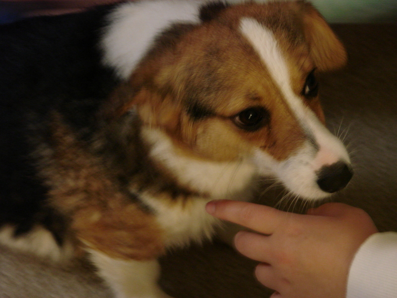 Conney's first bath!